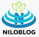 آرایش ترمی کارشناسی ارشد ودکتری مدیریت